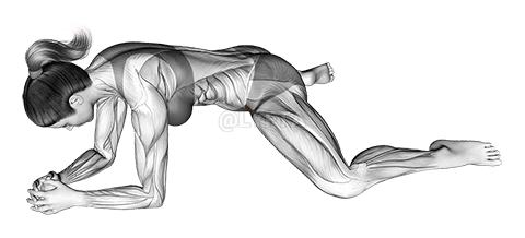 Klo Face Down Adductor Stretch demonstration