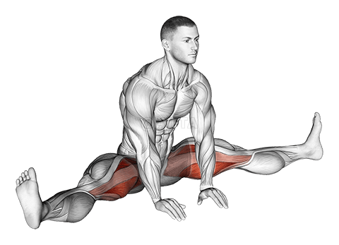 Istuva leveä jalka Adductor Stretch demonstration