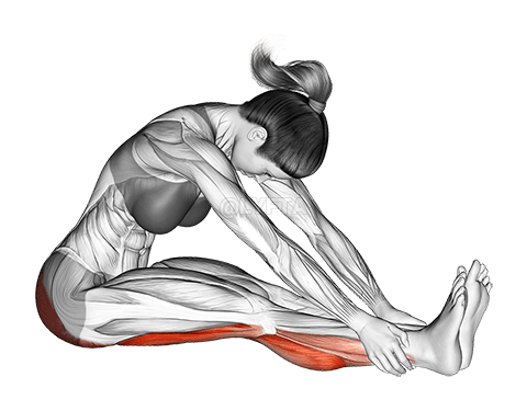 Estirament del flexor del genoll assegut demonstration