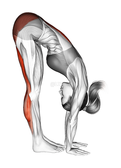 Estirament dels isquiotibials de peu cap avall demonstration