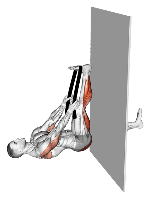 Thumbnail for the video of exercise: तौलियाको साथ रेकम्बेन्ट नी फ्लेक्सर स्ट्रेच