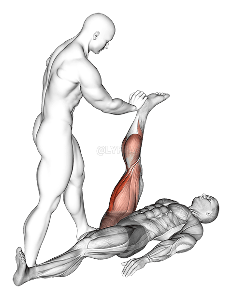 Asist fɔ lay Hamstring Stretch demonstration
