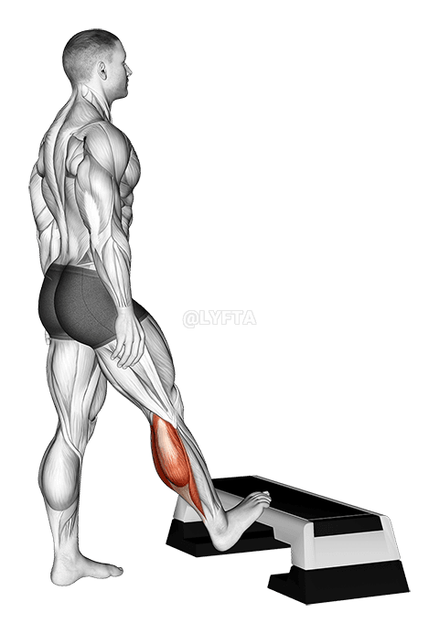 Standing Toe Up Calf Stretch demonstration