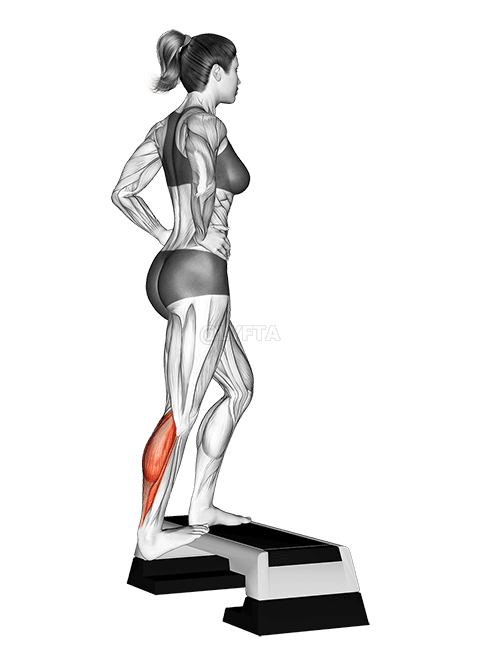 Estiramiento de pantorrilla con caída de un solo talón demonstration