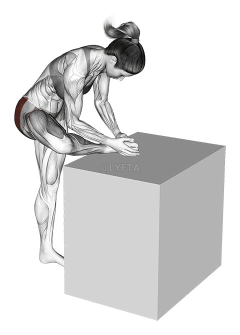 Hip External Rotator Stretch demonstration