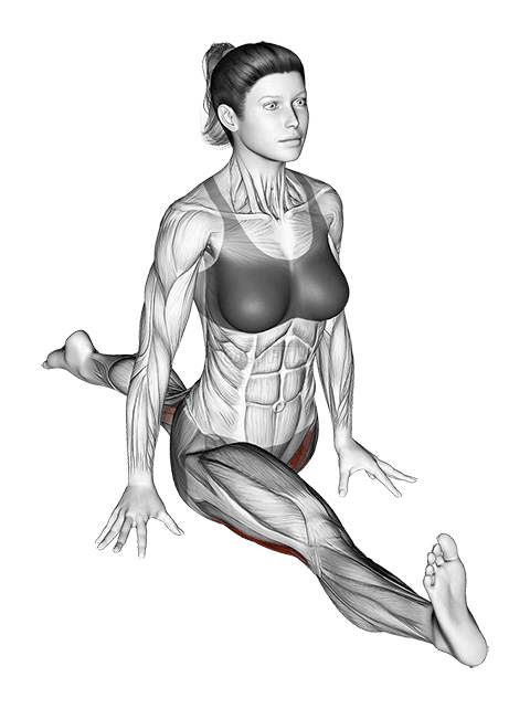 Estiramiento de cadera en flexión y extensión demonstration