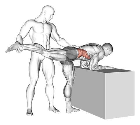 Assisteret One Leg Extension demonstration