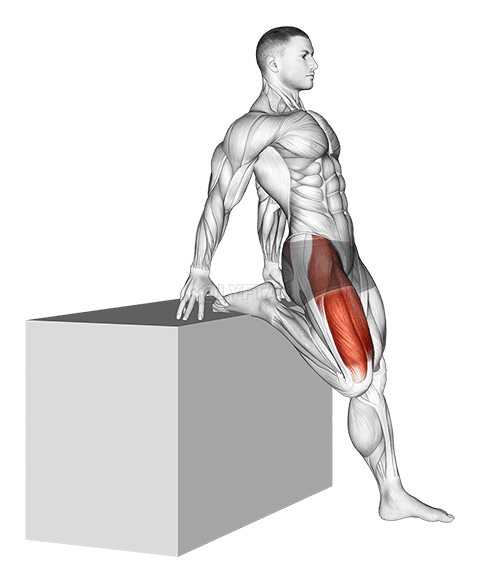 Supported One Leg Standing Hip Flexor And Knee Extensor Stretch demonstration