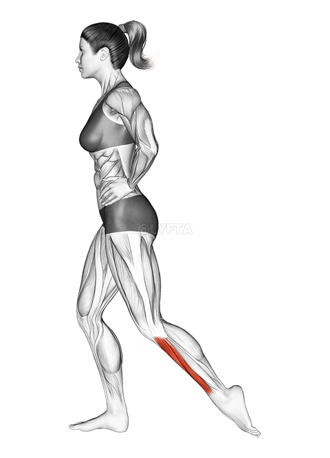 스탠딩 발가락 신근 스트레칭 demonstration
