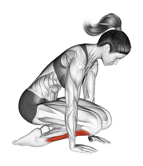 더블 닐링 신스트레칭 demonstration