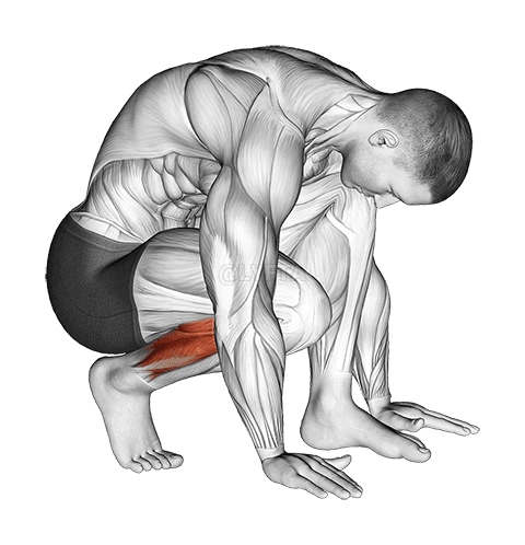 Thumbnail for the video of exercise: Разтягане на пръстите на краката при клякане