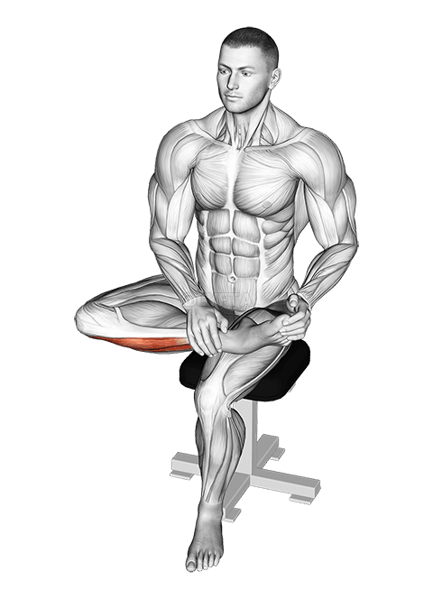 Stretch extenzoru vsedě demonstration