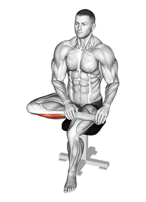 Sedící extenzor prstů a invertorový úsek chodidla demonstration