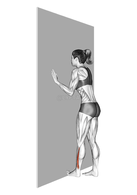 Protažení flexoru ve stoje demonstration