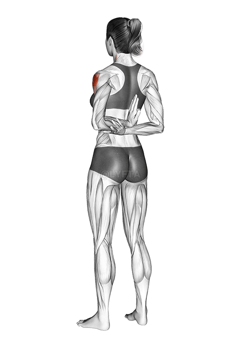 한쪽 팔 어깨 굴근 스트레칭 demonstration