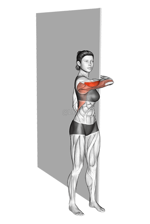 회전 어깨 스트레칭 demonstration