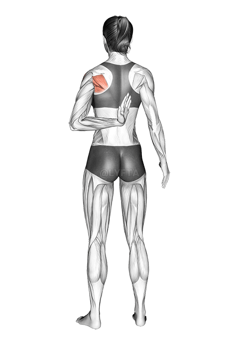 උරහිස් දිගු කිරීම දක්වා ළඟා වීම demonstration