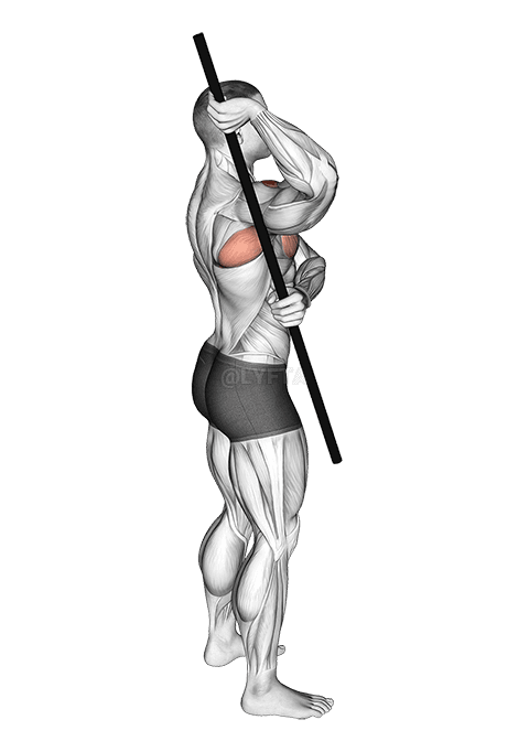 Estirament del rotador del braç demonstration