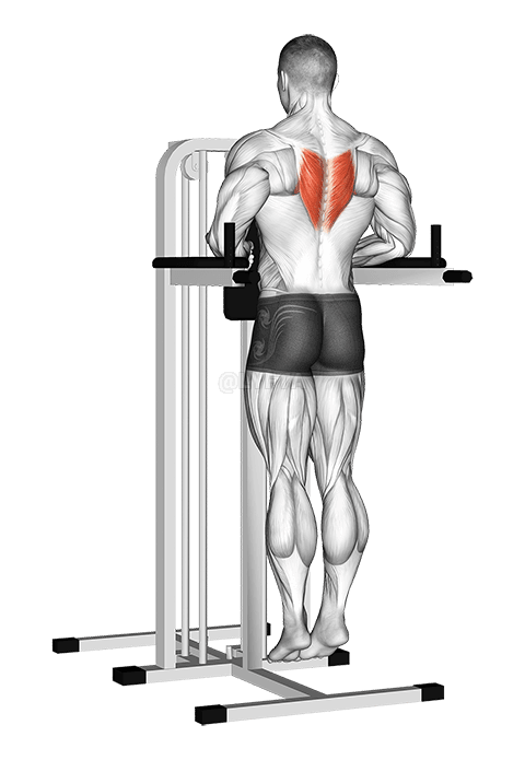 Депрессия при растяжке на параллельных брусьях demonstration