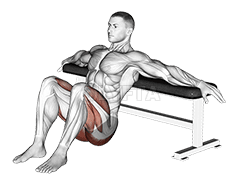Image of Hip Thrusts