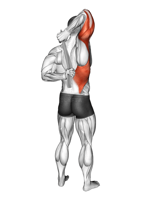 Allungamento delle spalle con asciugamano dietro la schiena demonstration