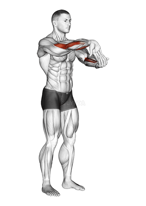 Ujjak lefelé Alkar nyújtása demonstration