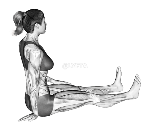 Ülő csukló Ulnar Deviator és Flexor Stretch demonstration