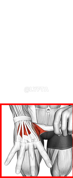 Peregangan Jari Pemisahan demonstration