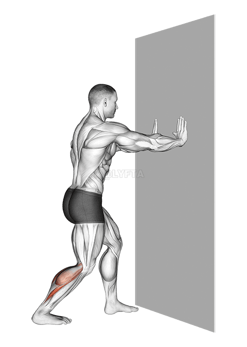 Thumbnail for the video of exercise: Откидывание пятки назад, растяжка ахиллова сухожилия