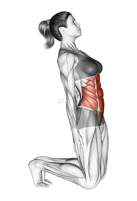 Istezanje trbuha u klečećem položaju demonstration