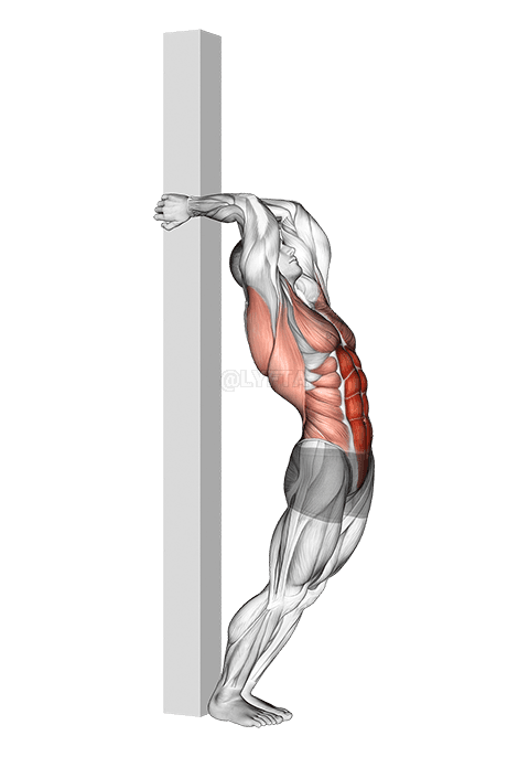 Hip Extension stipe fan efteren demonstration