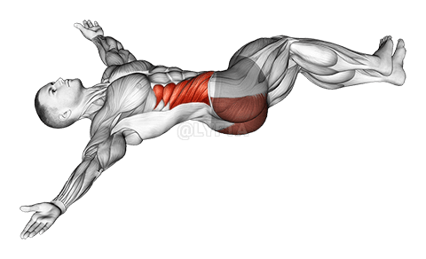 Étirement du genou couché demonstration