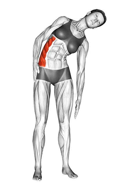 Bočno istezanje u stojećem položaju demonstration