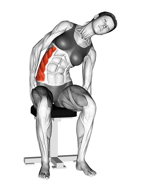 Thumbnail for the video of exercise: बइठल पार्श्व साइड खिंचाव बा
