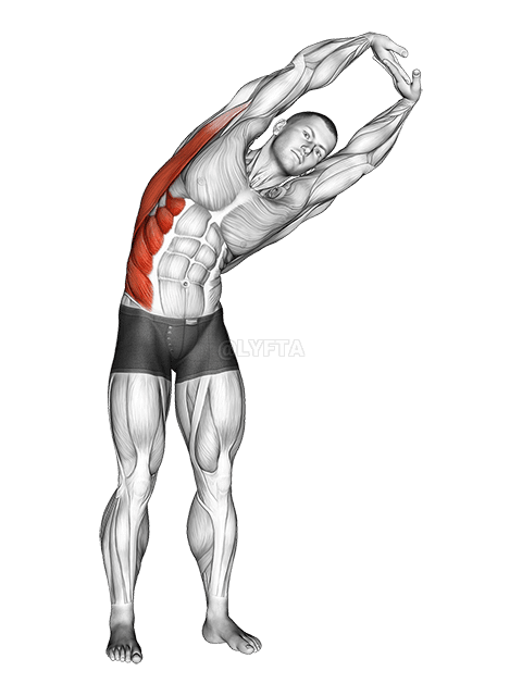 Thumbnail for the video of exercise: Расцяжка ў баку стоячы