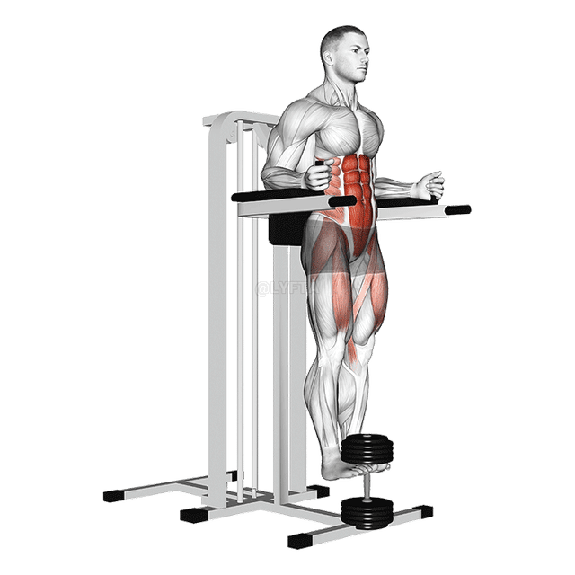 Weighted Captains Chair Leg Raise demonstration