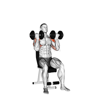 Haltère Arnold Press demonstration