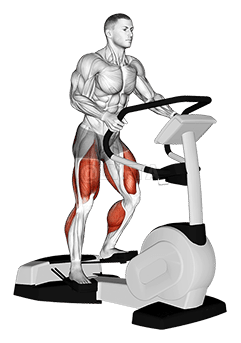 Walk Wave Machine demonstration