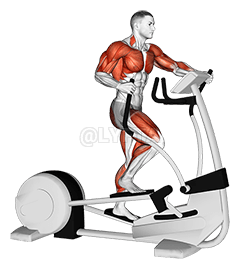 Walk Elliptical Cross Trainer demonstration