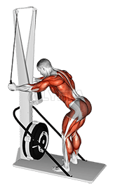 Ski-ergometer demonstration