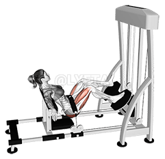 Μοχλός ώθησης ισχίου με ένα πόδι demonstration