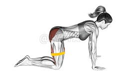 Contragolpe de pierna doblada con banda de resistencia demonstration