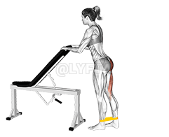 Banda de resistencia contra retroceso de una pierna demonstration