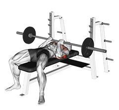 Clò Barbell Reverse Close-grip Bench Press demonstration