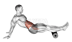 Roll Vituli demonstration