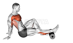 Roll Telata demonstration