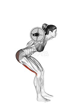 バーベル「おはよう」 demonstration