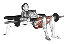 Impulso de quadril com barra demonstration