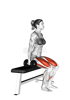 Dumbbell Bench Squat demonstration