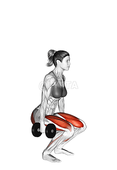 Dumbbell Squat demonstration